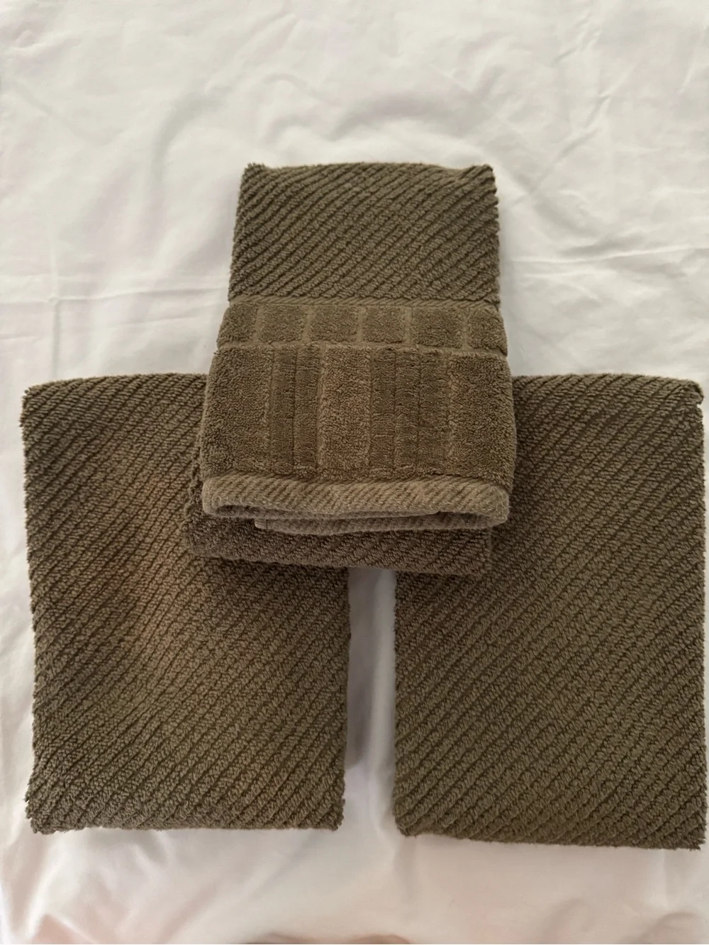 Vintage 2001 Premier by CTC Home Fashions Olive Green Hand Towels | Set of 2 (3)